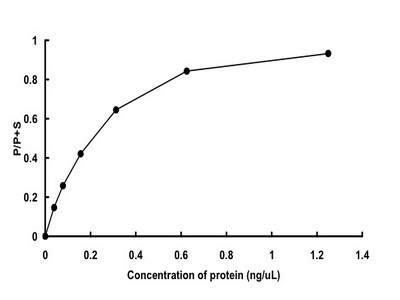 Loading 1 &mu;g protein in SDS-PAGE